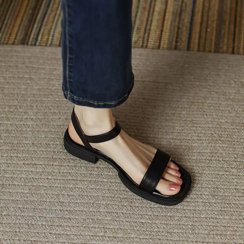 Black / 12