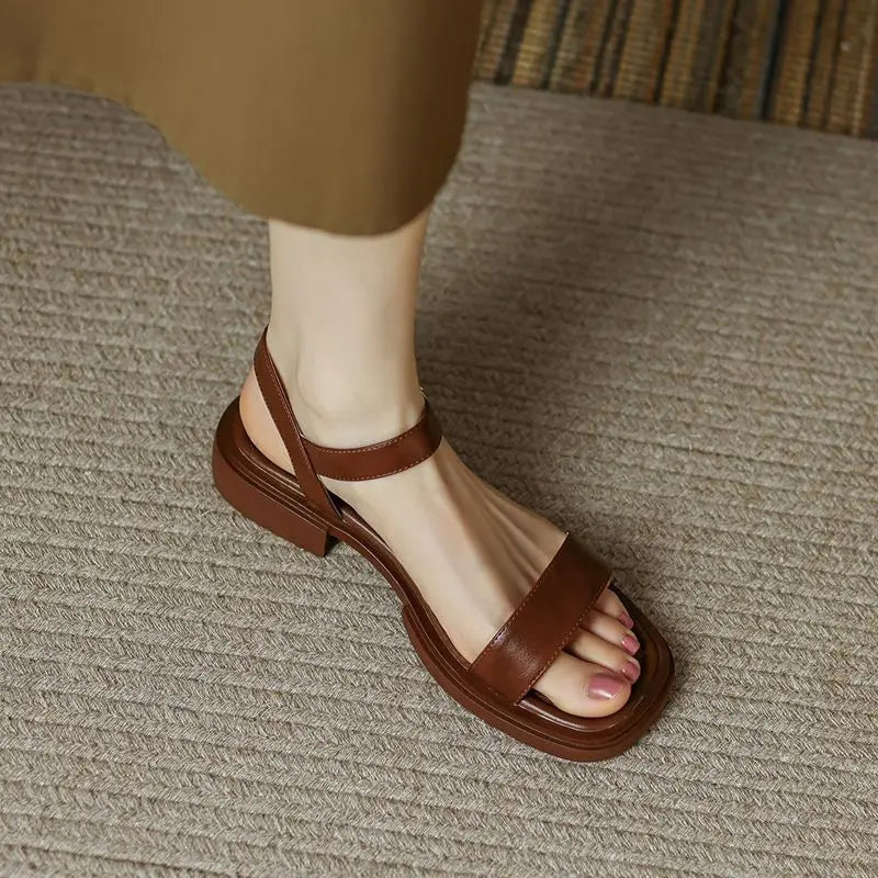 Brown / 12