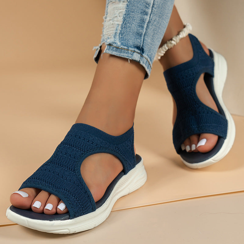 Navy Blue / 12
